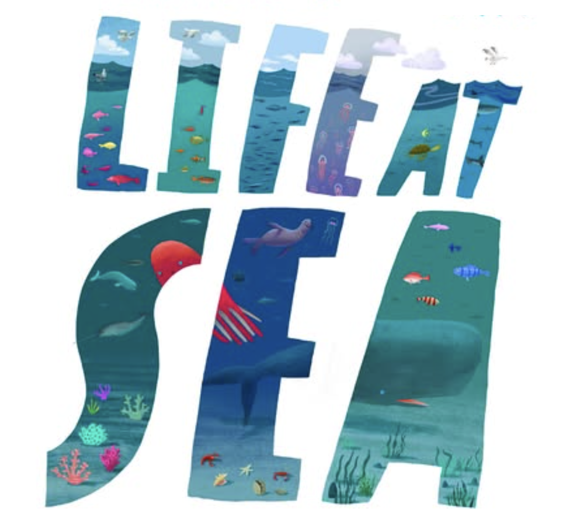 Little Sea Explorer cover